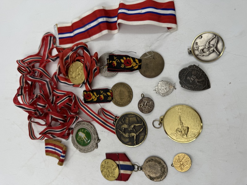 Div Medaljer