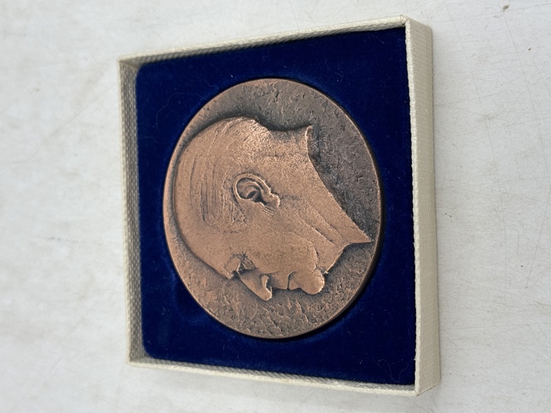 Minnemedalje i bronse