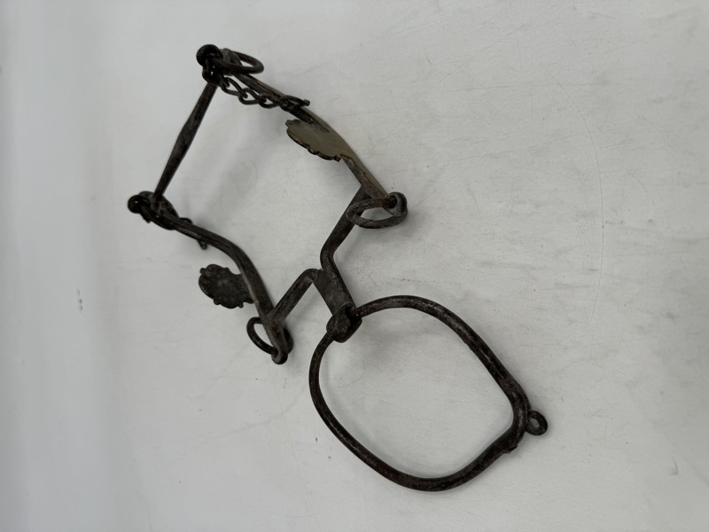 Smidd 1800 tallet Hestebisser?