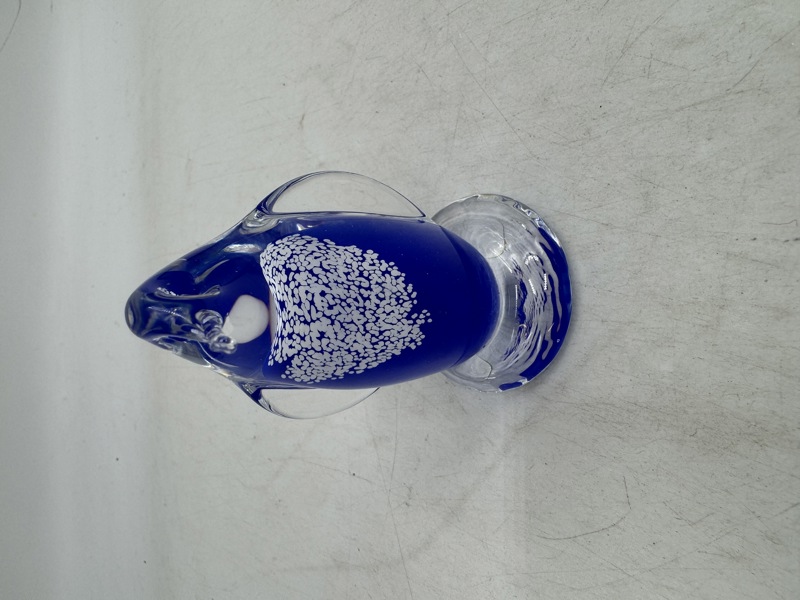 Glass pigvin