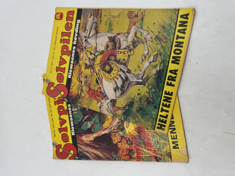 2 stk Sølvpilen