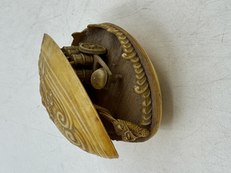 Gmlt orientalsk musling