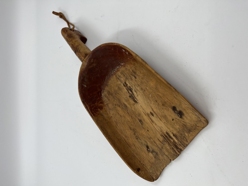 1800 talls Rødmalt Kornøse