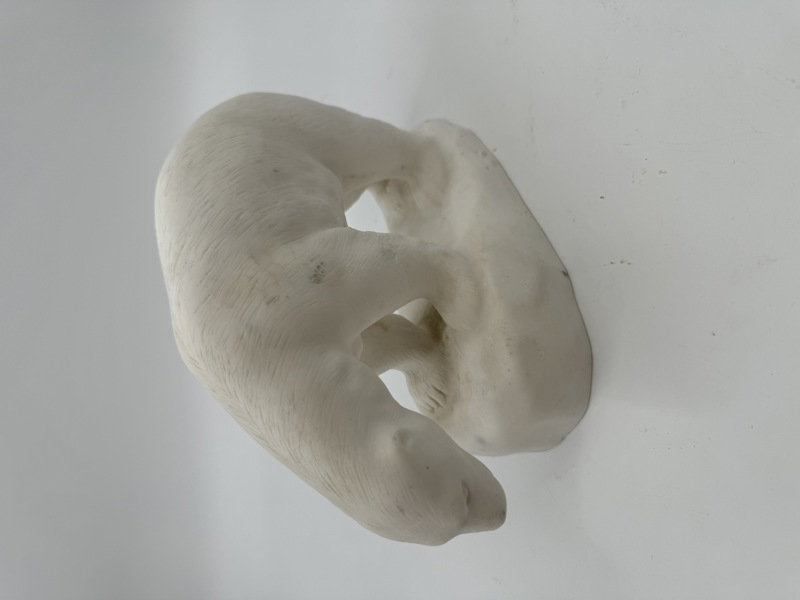 PP- Uglassert Isbjørn stående