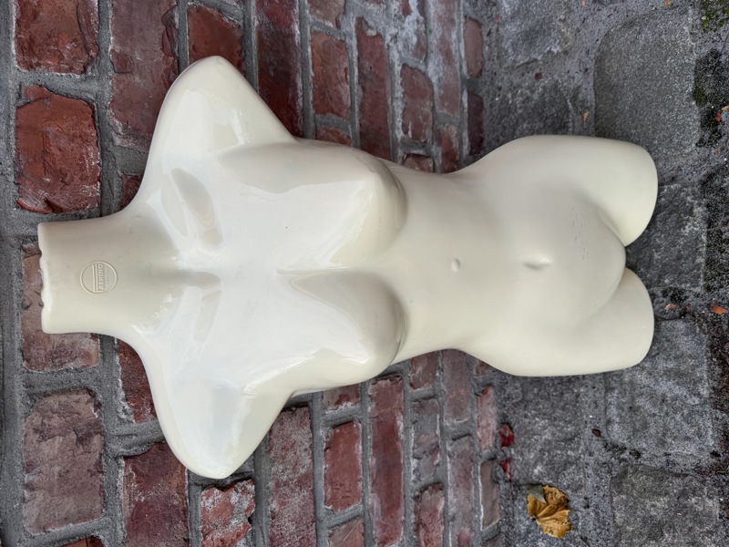 Kvinnelig Torso i plast