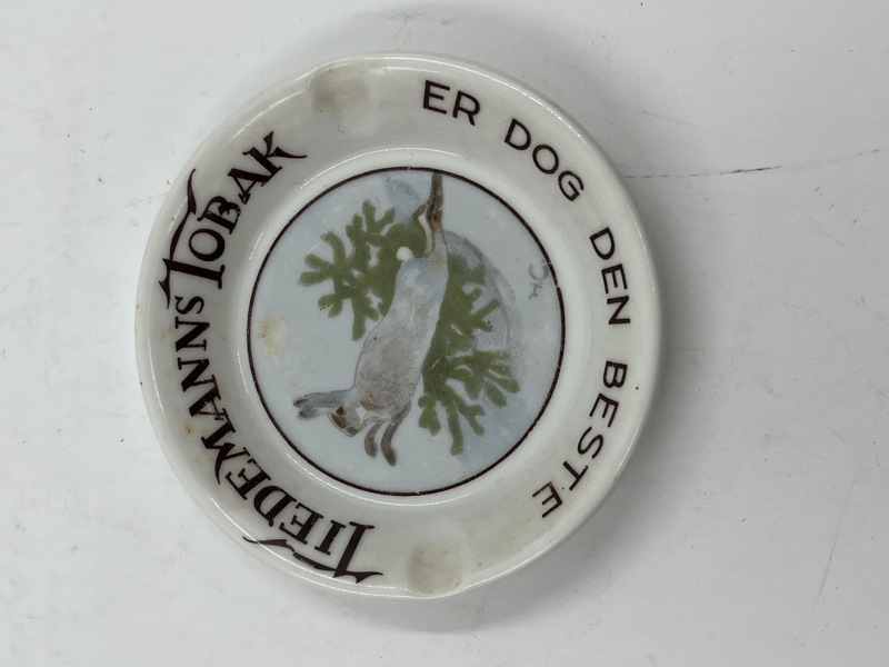 PP- Tiedemanns askebeger Hare