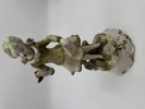 Capodimonte Figur i nydelig grønnfarge