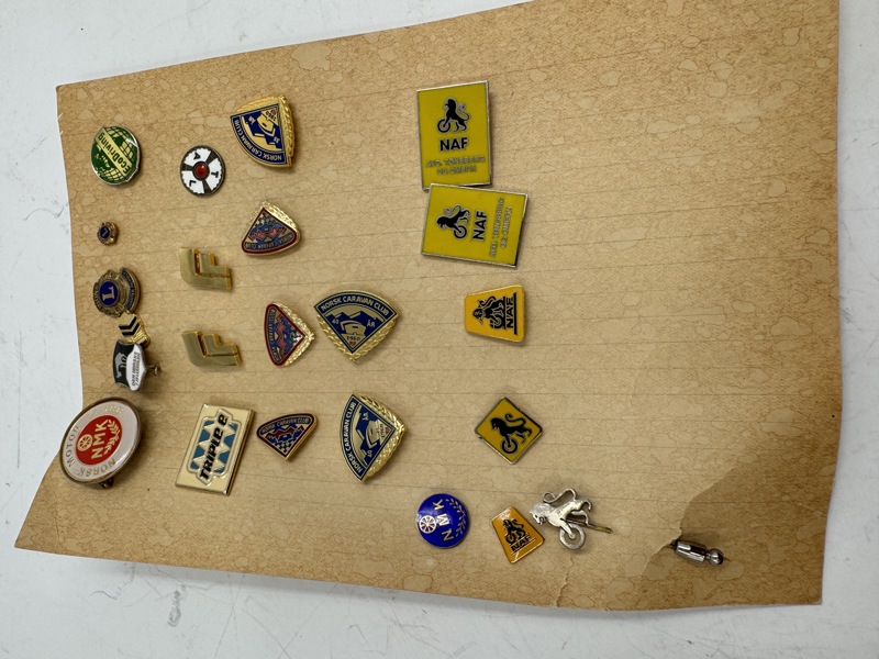 1 Brett med div pins