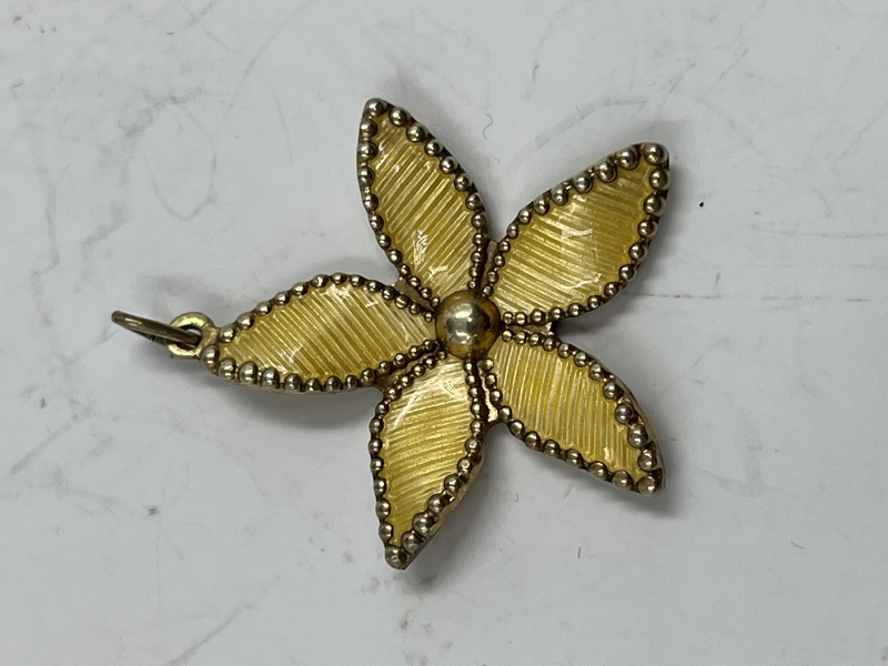 Lite anheng  i emalje 925s 