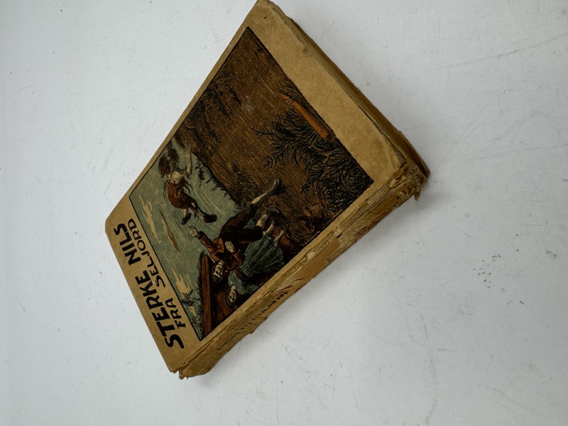 Bok Sterke Nils fra Seljord 