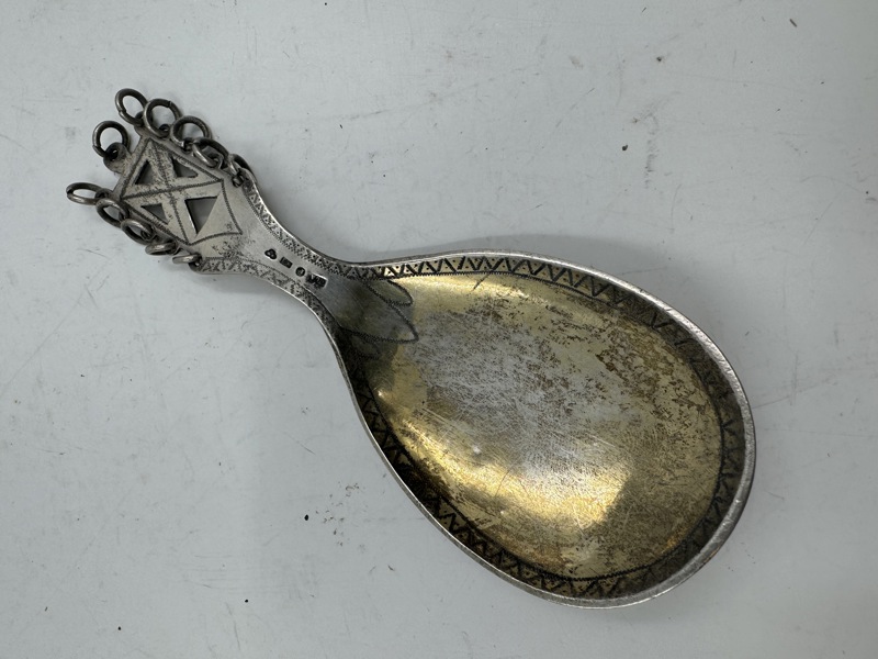 Spesiell gml Sølvskjee