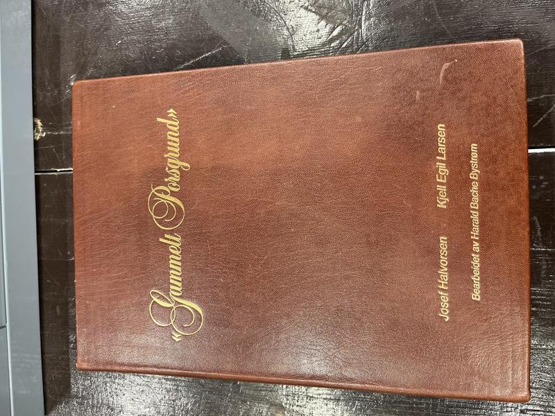PP- Skinninnbunnet bok 
Gammelt Porsgrund signert