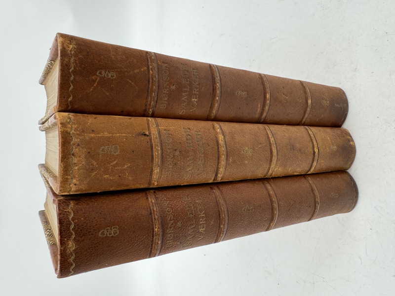 Bjørnson Samlede værker 3 bind