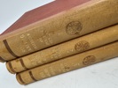 Bøker 3 bind Rosemaling i telemark
