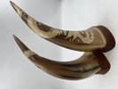 2 stk Horn i bein