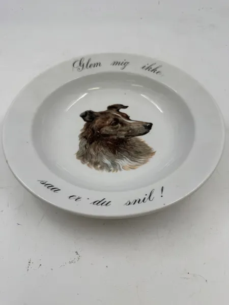 PP- dyp , bilde av hund
