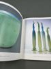Hefte/ Bok- Karen Klim Poesi i glass