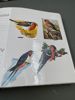 2 stk Glansbilder i album