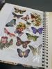 2 stk Glansbilder i album