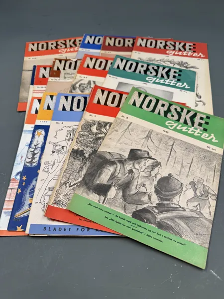 Norske Gutter 20 nr av norske gutter