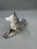 PP- Hund